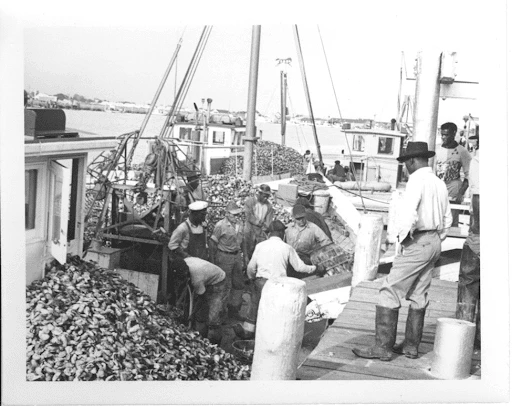 Migrants and New Jersey’s Oyster Industry | NJ Monuments to Migration and Labor, njmml.com